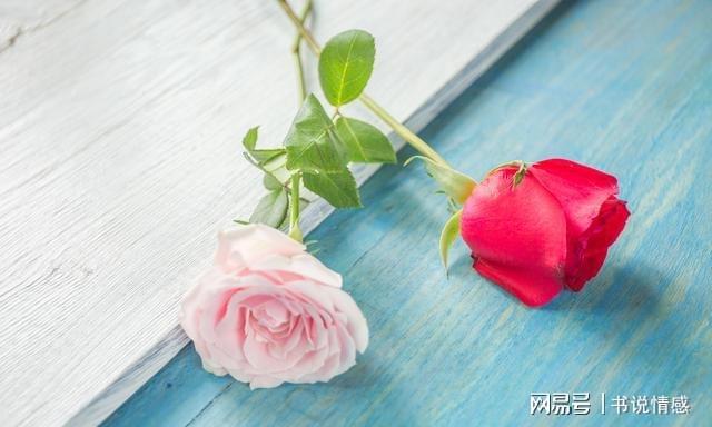 FB体育 FB体育平台春节婆家聚餐弟媳狂点嫂子要AA弟媳：你们收入高你们买单(图1)