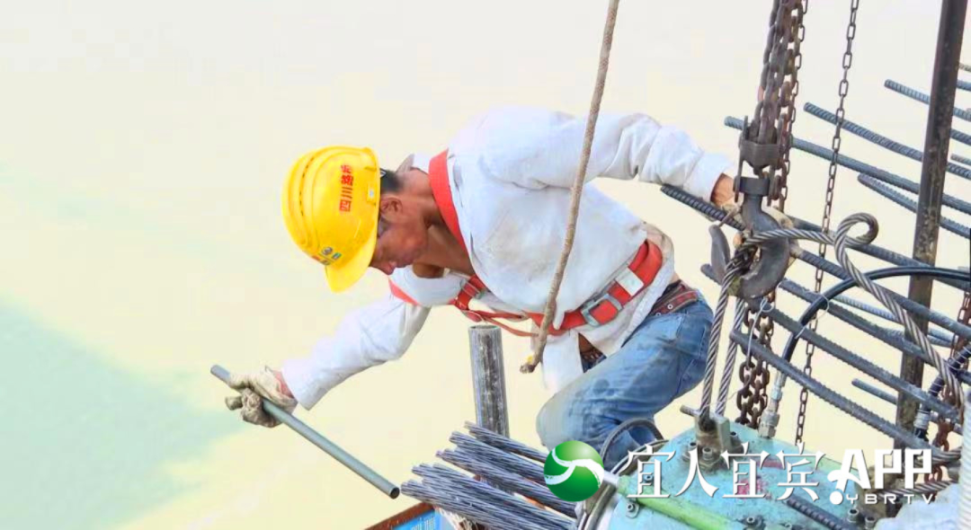 FB体育 FB体育平台春节前通车！宜宾这座特大桥预计10月合龙(图2)