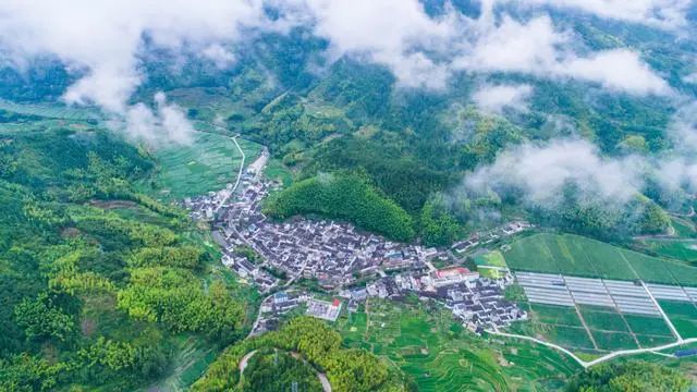 FB体育 FB体育平台丽水村晚走上中宣部新闻发布会(图2)