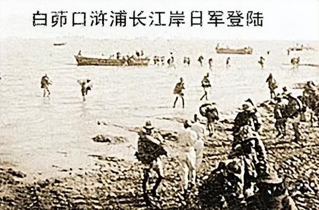 FB体育 FB体育平台740 散布在江南水乡的抗战遗迹——虎年春节探访吴福国防线碉堡群(图20)