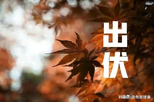 天气预报：2023年春节冷吗？出伏天气能预兆看老祖宗怎么说FB体育 FB体育平台(图3)