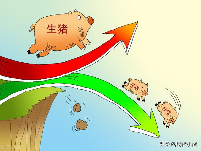 旺季预期遭遇投放消息生FB体育 FB体育平台猪先抑后扬(图1)