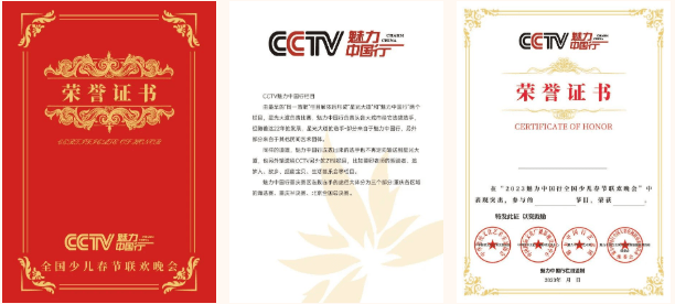 FB体育 FB体育平台七彩童年筑梦祖国2023CCTV魅力中国行西南片区青少年春节联欢晚会正式启幕(图7)