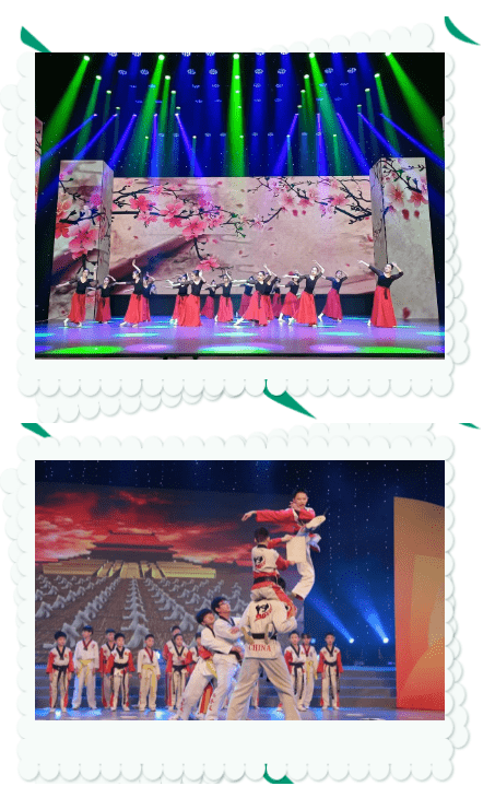 FB体育 FB体育平台七彩童年筑梦祖国2023CCTV魅力中国行西南片区青少年春节联欢晚会正式启幕(图4)