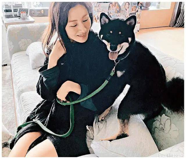 FB体育 FB体育平台李嘉欣已年过半百春节在6亿豪宅晒美照但这栋豪宅却不是她的(图4)