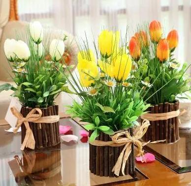FB体育 FB体育平台推荐10种耐冻的绿植盆栽春节前养一盆为家中增添喜庆温暖(图2)