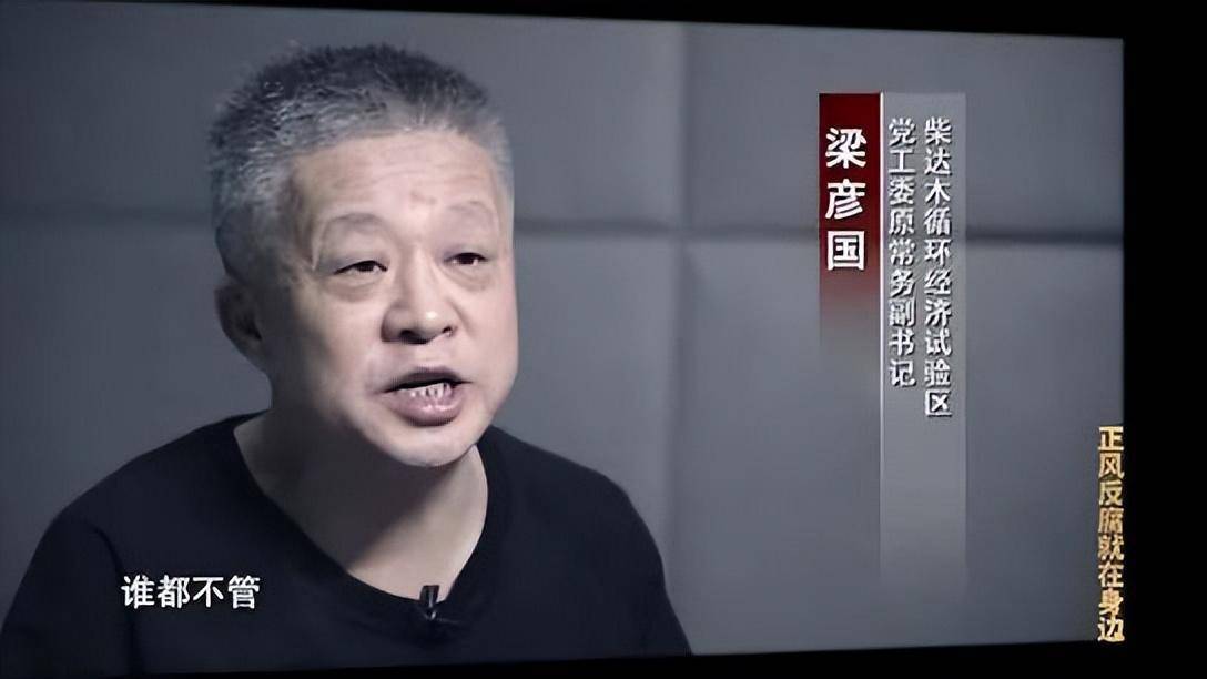 木FB体育 FB体育平台里矿区非法开采案首个落马厅官行贿细节曝光：春节拜年他给上级领导送了14万(图1)