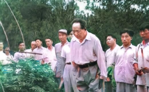 FB体育 FB体育平台1959年毛主席去韶山水库游泳遇一农妇主席呼三声闻者动容(图2)