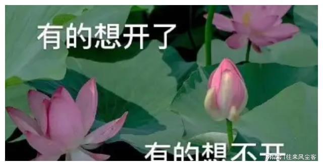 FB体育 FB体育平台黄金配角成沈腾最大威胁？又一被低估的黑马出重围太猛了(图9)