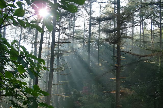 浙江一座山海拔仅237米不仅是全真FB体育 FB体育平台派圣地还被誉为万山之祖(图2)