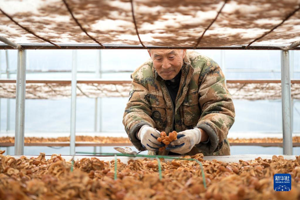 领航中国｜彪炳史册的人间奇迹——的十八大以来我国脱贫攻坚成就举世瞩目FB体育 FB体育平台(图4)