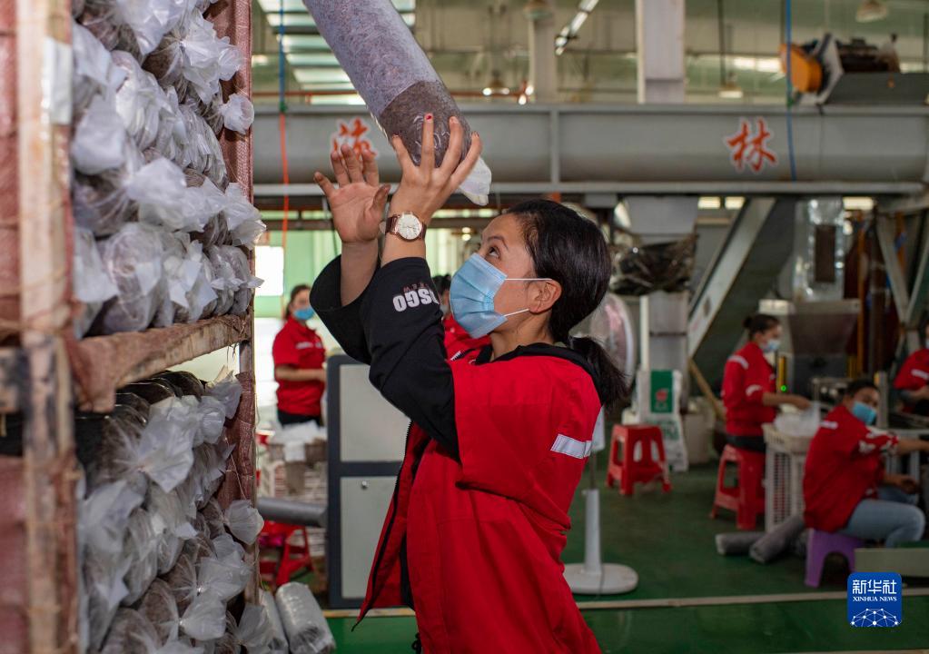 领航中国｜彪炳史册的人间奇迹——的十八大以来我国脱贫攻坚成就举世瞩目FB体育 FB体育平台(图10)