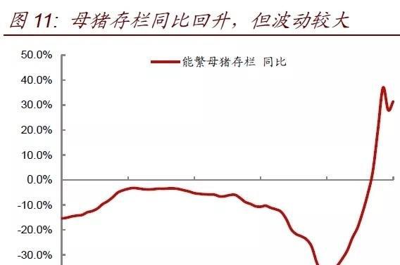 FB体育 FB体育平台猪肉占我国肉类的548％这个春节农村“二师兄”身价又涨了！(图3)