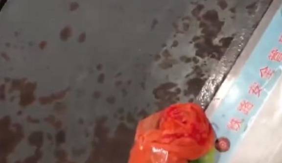 深圳一男子坐火车被安检拦下只因腰间绑着三只乌龟FB体育 FB体育平台(图3)