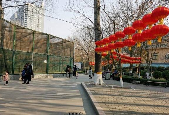FB体育 FB体育平台郑州春节亲子游好去处：看各种珍稀动物张灯结彩很热闹(图14)