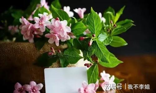 FB体育 FB体育平台为何每月只有两千退休金日子却过得舒服自在？三位老人实话实说(图1)
