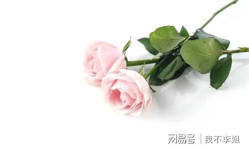 FB体育 FB体育平台为何每月只有两千退休金日子却过得舒服自在？三位老人实话实说(图7)