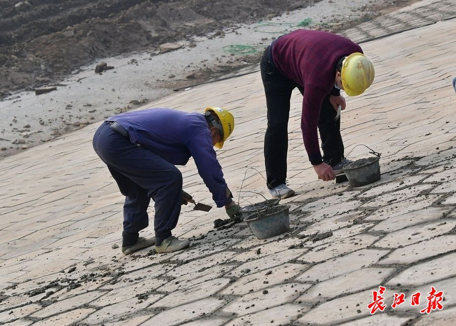 春节假期施工不停歇杨泗港都市T台“一天一个样”FB体育 FB体育平台(图1)