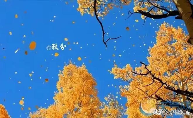 FB体育 FB体育平台今日秋分下雨啥说法？2022年春节冷到哭？看农谚咋说(图1)