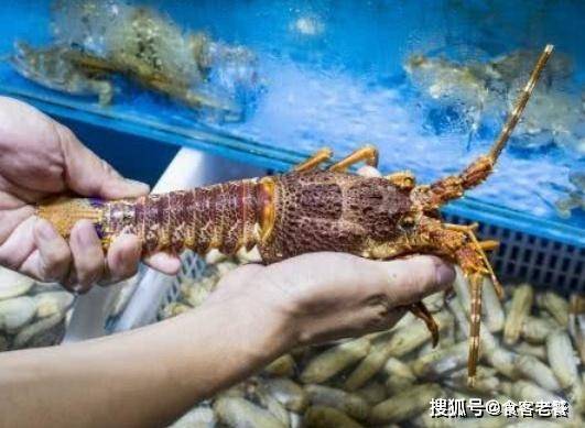 FB体育 FB体育平台老外用这种“海鲜”春节7天赚中国吃货3亿网友：怪我太傻！(图3)