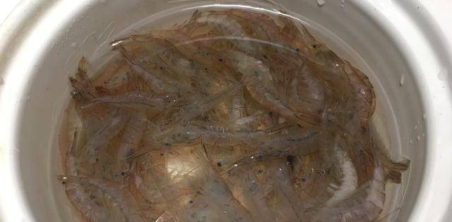 FB体育 FB体育平台白米虾花甲酸菜鱼清爽不油腻春节肉吃得太多解腻的来了(图1)