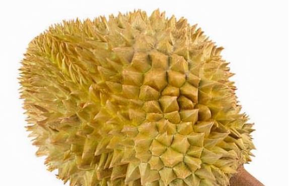 FB体育 FB体育平台每年春节前夕孩子最容易感冒多吃3种幸福果寓意身心同康(图1)