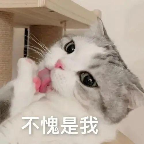 FB体育 FB体育平台女孩国庆疯狂营业一周赚5千春节更好赚！心动了？且慢！(图4)