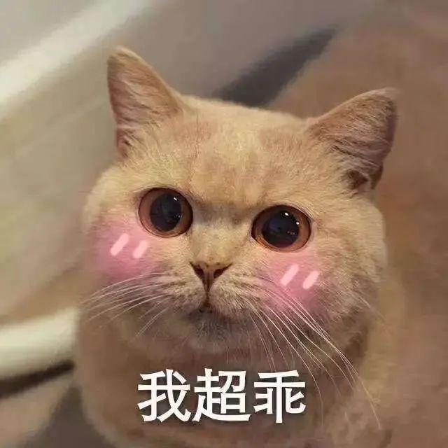 FB体育 FB体育平台女孩国庆疯狂营业一周赚5千春节更好赚！心动了？且慢！(图1)