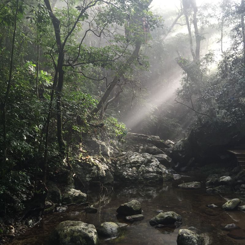FB体育 FB体育平台【春节去哪儿】到海南这些特色主题小镇过不一样的春节享受春日美好时光(图23)