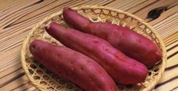春节过后多吃以下食物保护肝脏强肾补虚早FB体育 FB体育平台吃早赚(图1)