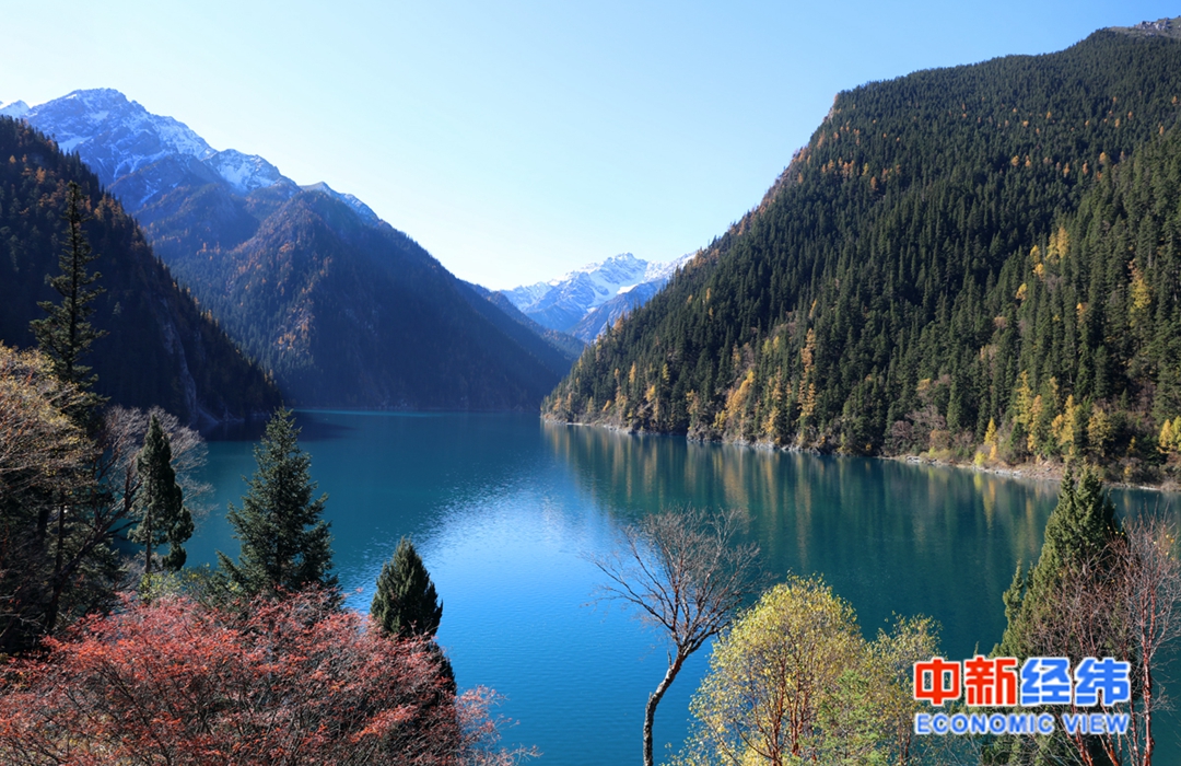 FB体育 FB体育平台春节假期去哪儿嗨？全国这些景区免费游、半价游……(图3)