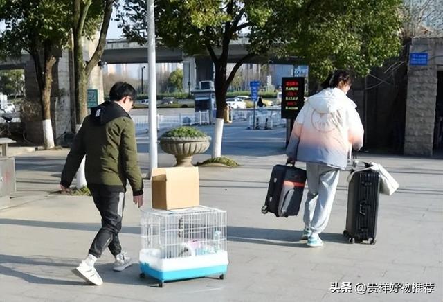 202FB体育 FB体育平台3年春节假期会延长吗？2023春节什么时候放假？(图1)