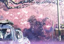 FB体育 FB体育平台春节法定假期几天 春节有几天假期(图1)