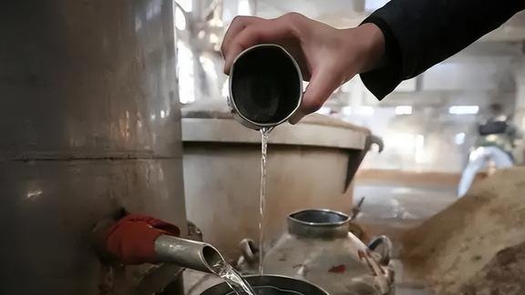 2022年白酒选购指南：春节备酒5款酒必定入手纯粮好喝不上头FB体育 FB体育平台(图1)