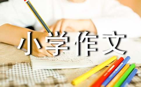 买年货FB体育 FB体育平台小学作文(图1)